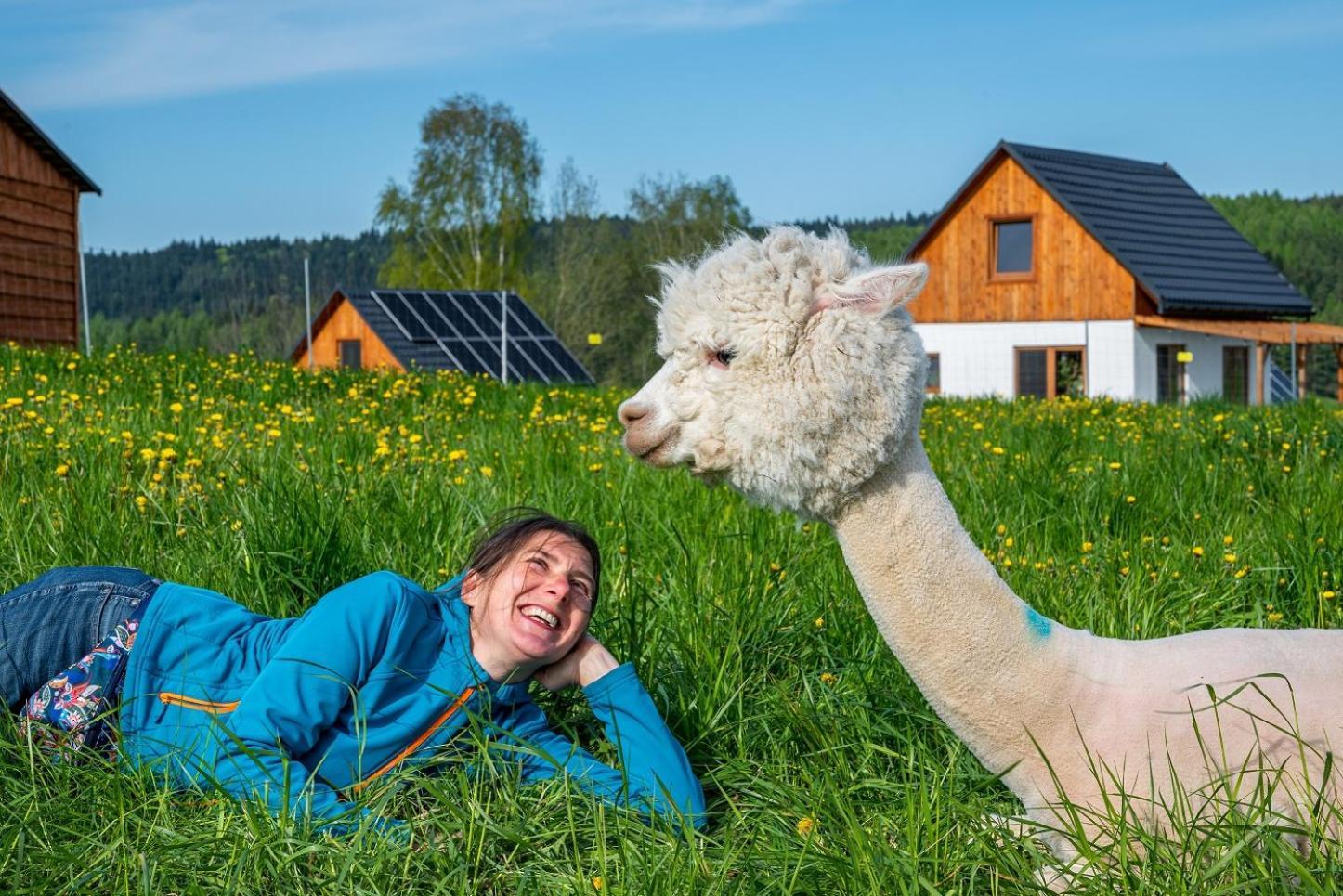 Pastelova Krova - Domki W Bieszczadach Ustrzyki Dolne Exterior foto