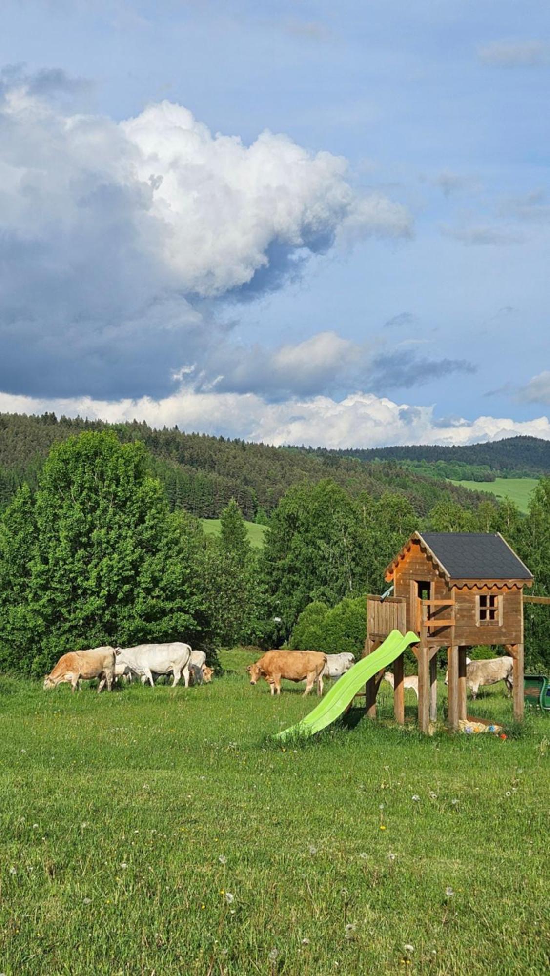 Pastelova Krova - Domki W Bieszczadach Ustrzyki Dolne Exterior foto